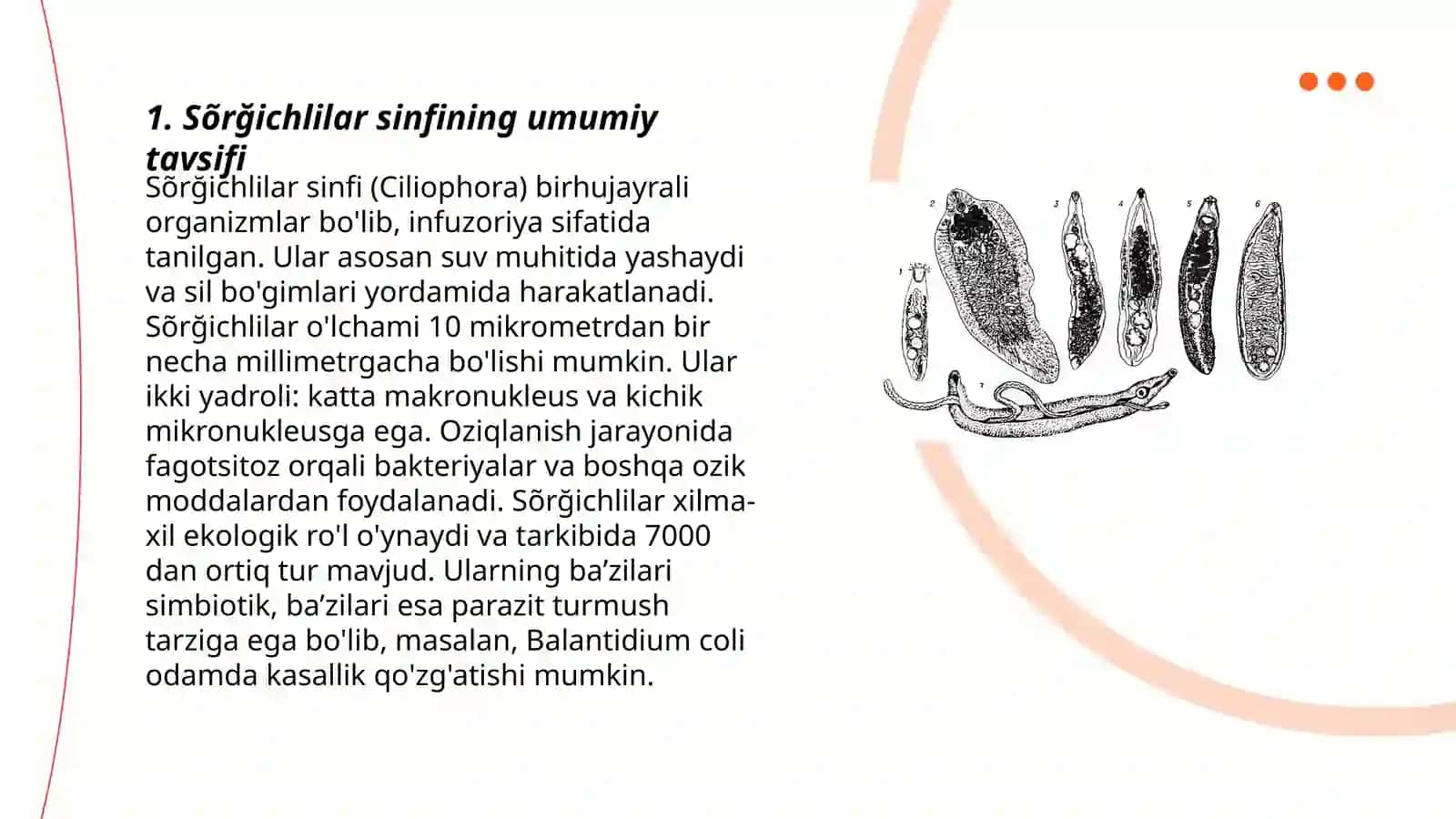 Sõrğichlilar sinfi (trematodes) 3