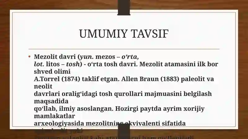 Mezolit davri manzilgohlari 3