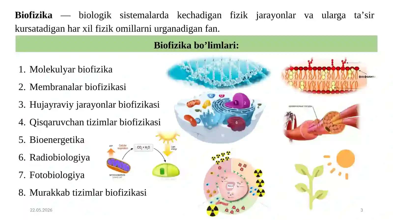BIOLOGIK TO’QIMALRNINGMEXANIK XOSSALARI 3