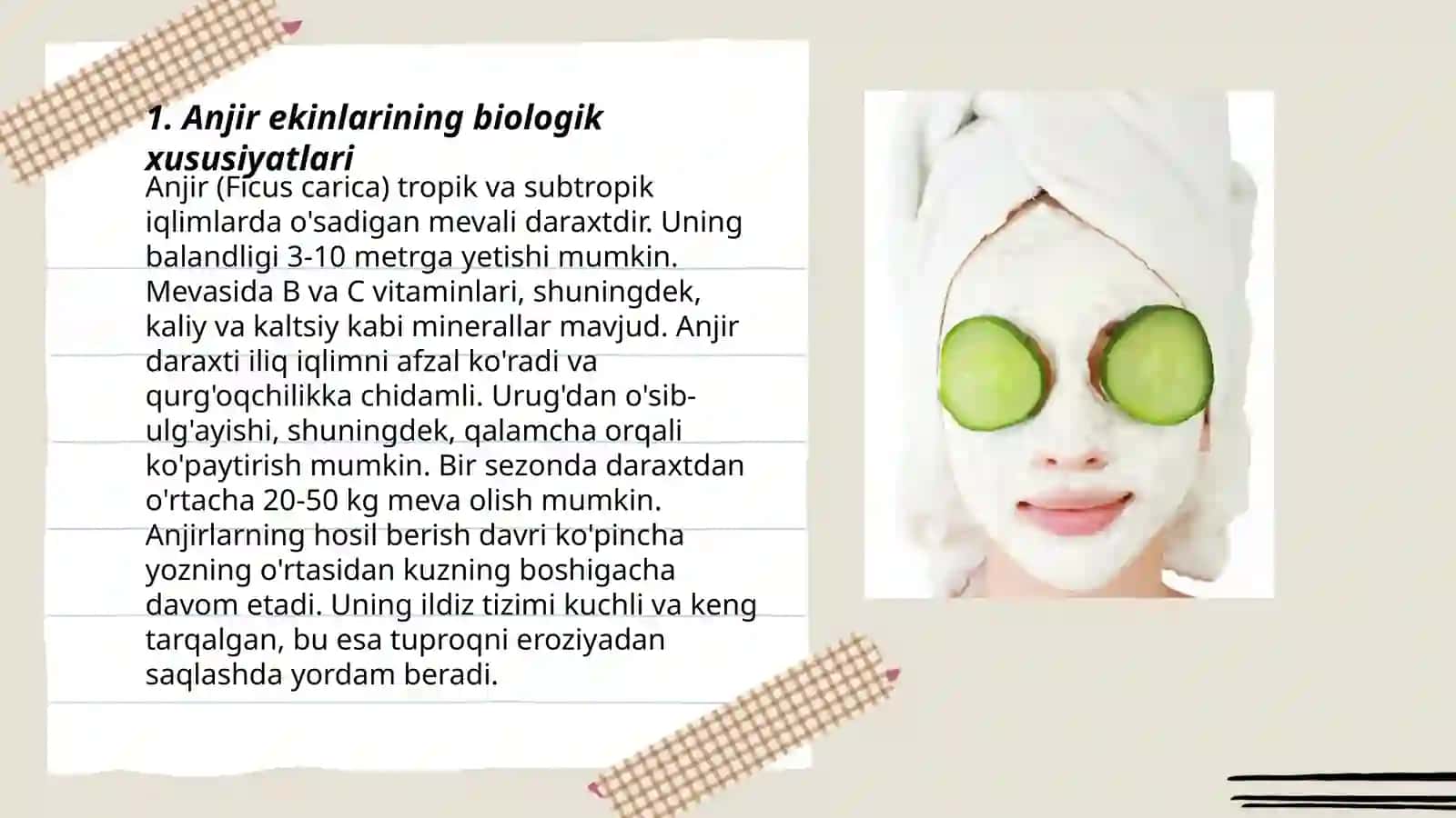 Anjir 3