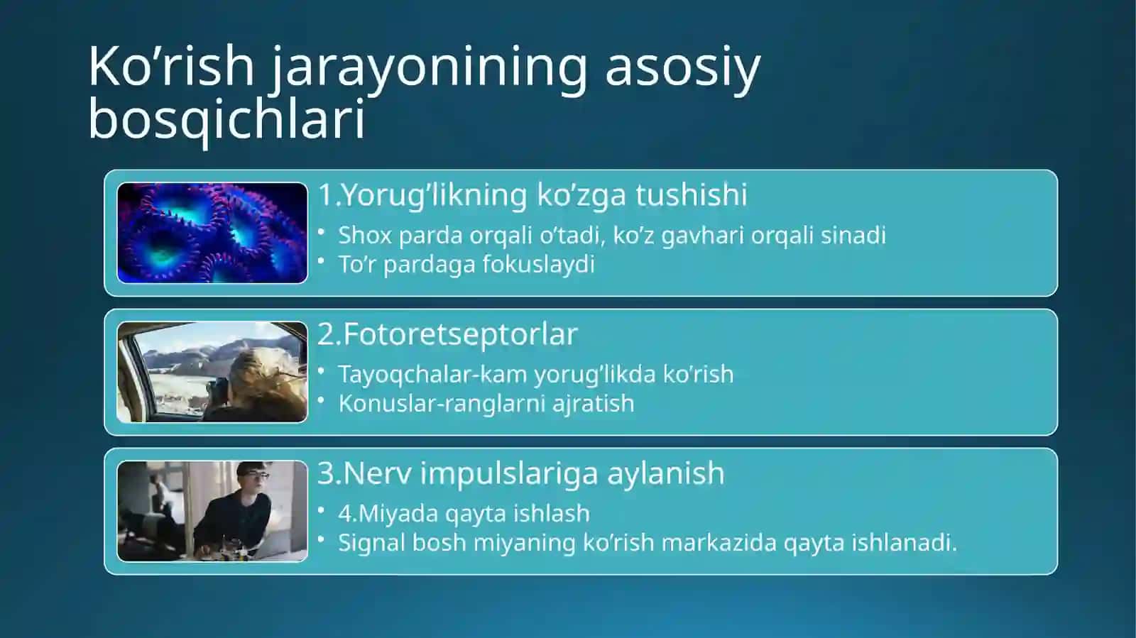 Ko’rish biofizikasi Teshayeva Muxlisa 3
