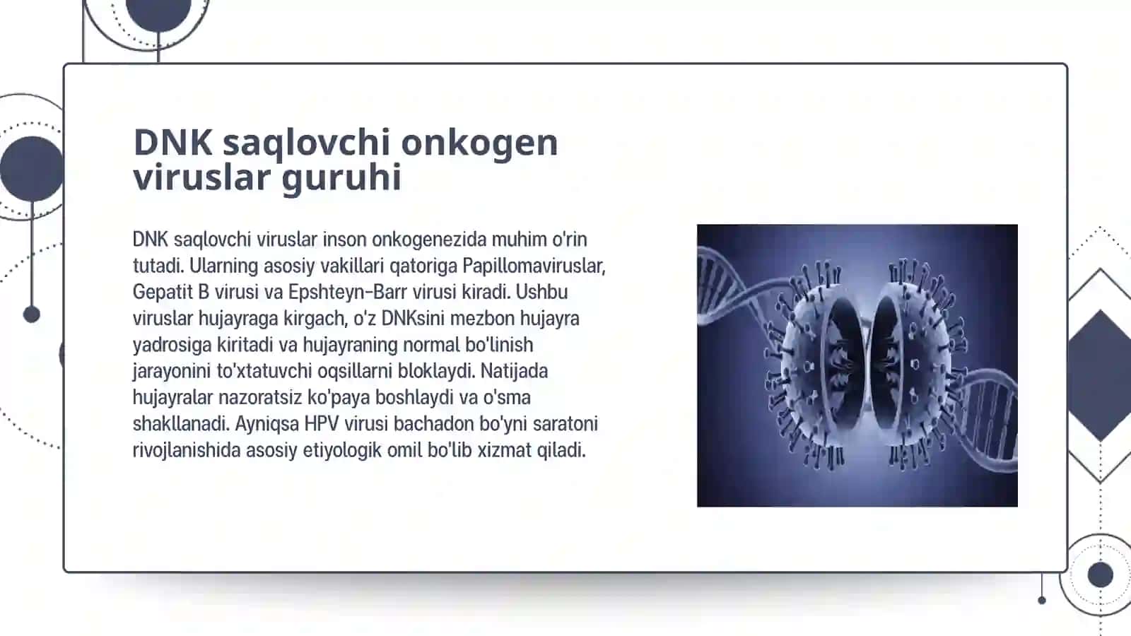 Onkogen viruslar 3