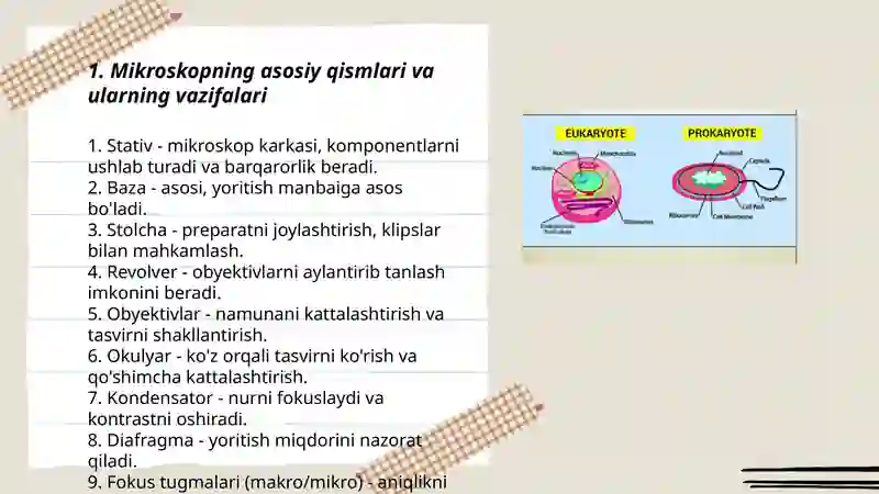 Mikroskop. Mikroskop bilan ishlash qoidasi. Vaqtinchalik preparatlar tayyorlash. Viruslar. Pro-eukariot hujayralar. Ularning o‘ziga xos umumiy tuzilishi va farqlari. 3