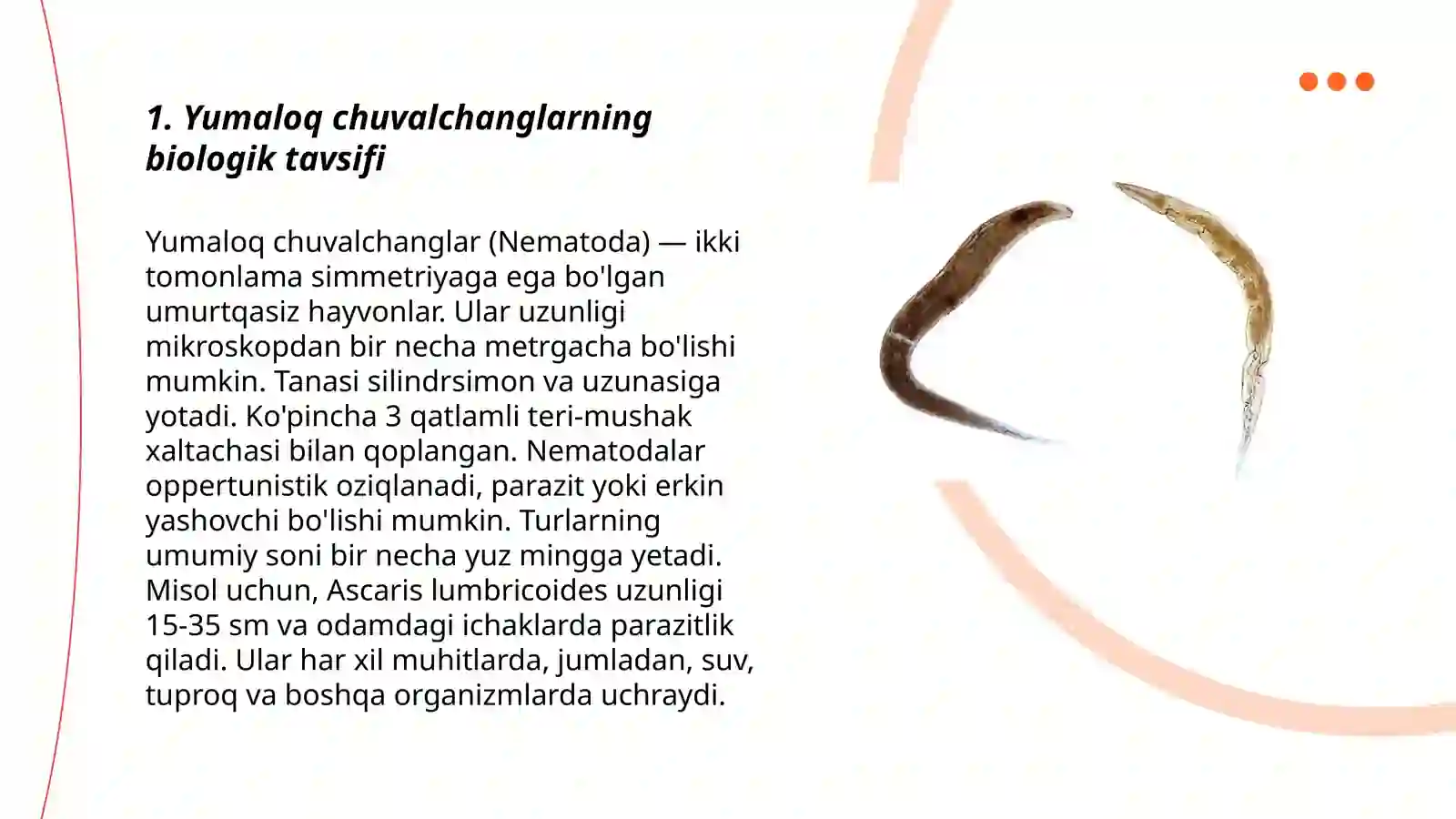 Yumaloq chuvalchanglar 3