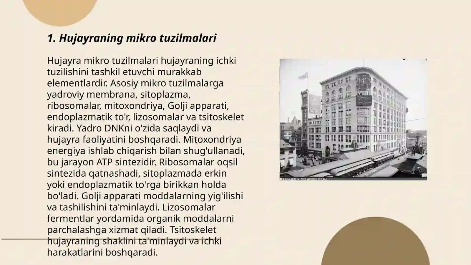 Hujayraning mikro tuzilmalari 3