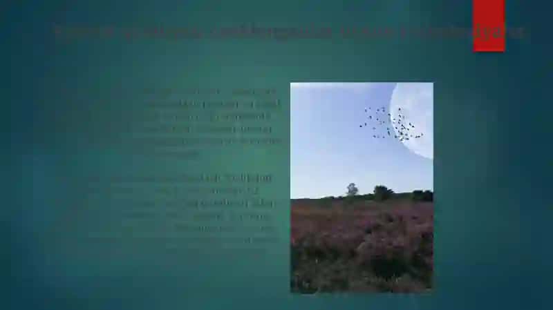 Ko‘rish qobiliyati cheklanganlar uchun texnologiyalar 3
