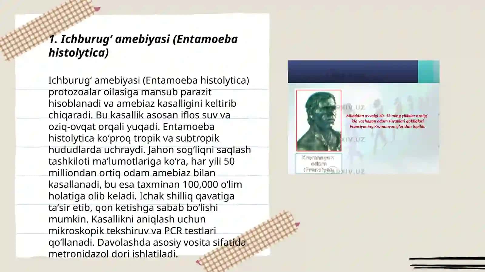 Odam va hayvonlarda parazitlik qiluvchi bir hujayralilar: ichburugʻ amyobasi, lyambliya, trixomonadalar, triponosomalar 3
