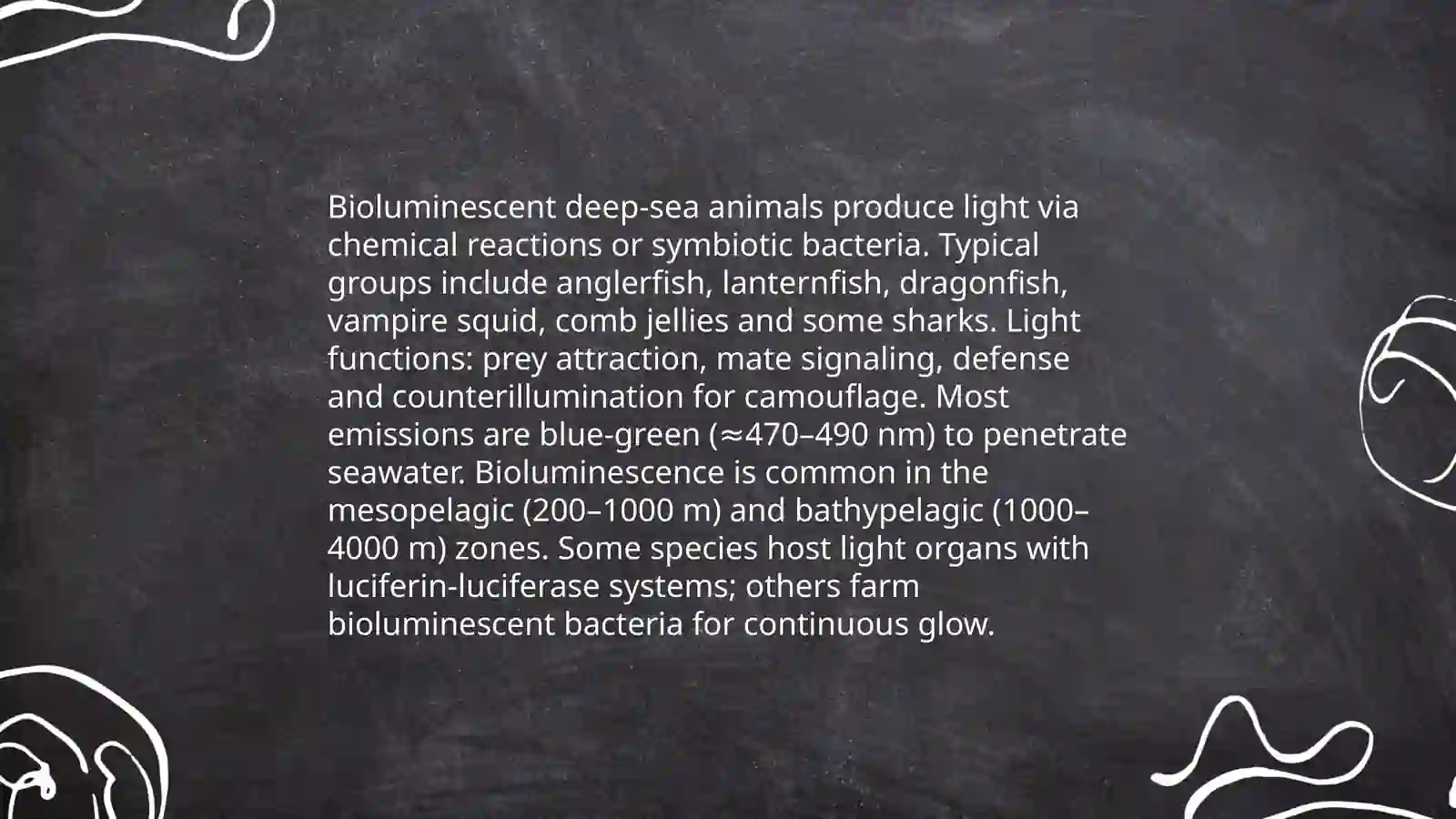 Bioluminescent deep-sea animals 3