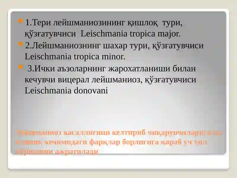 Лейшманиоз 3