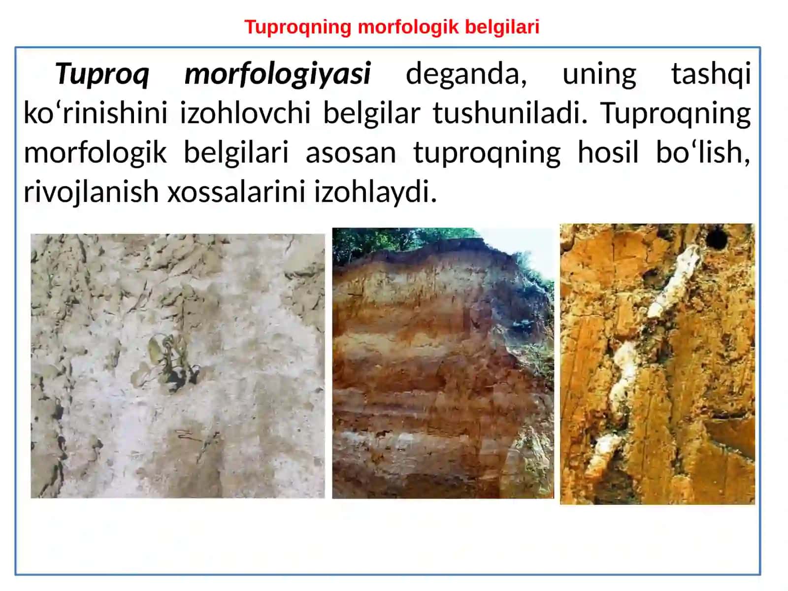 tuproq morfologiyasi 3