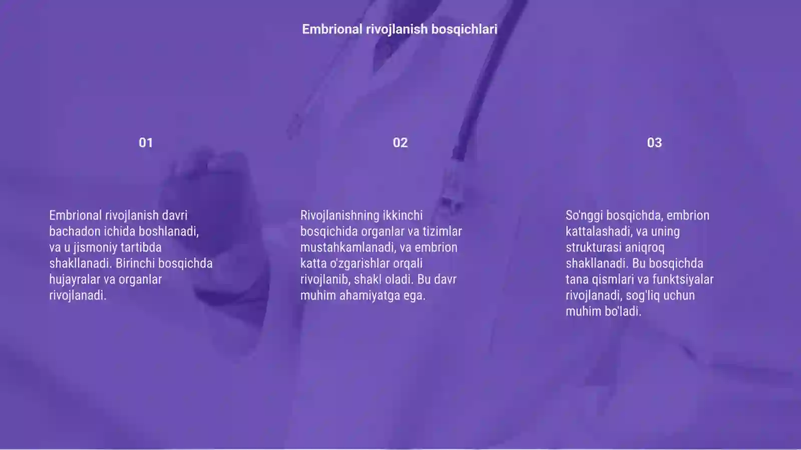 Embrional rivojlanish davri 3