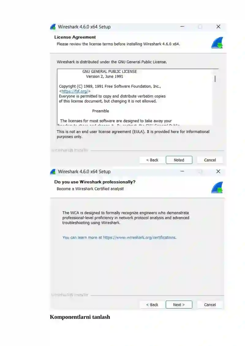 Wireshark dasturini o‘rnatish 3