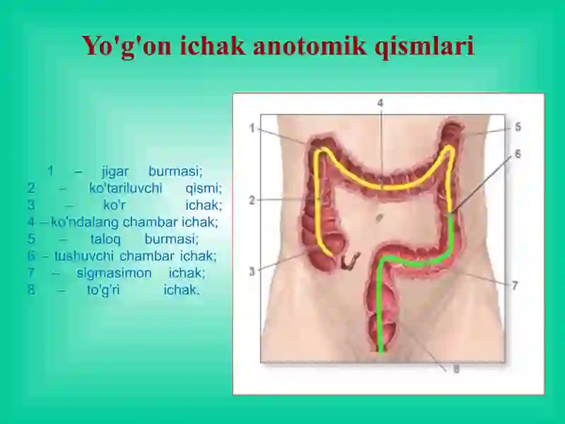 Yo'g'on ichak kasalliklari. 3