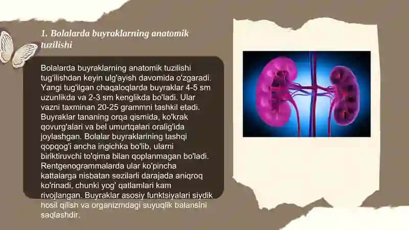 Bolalarda Buyraklar Anatomo Fiziologik Xususiyatlari 3