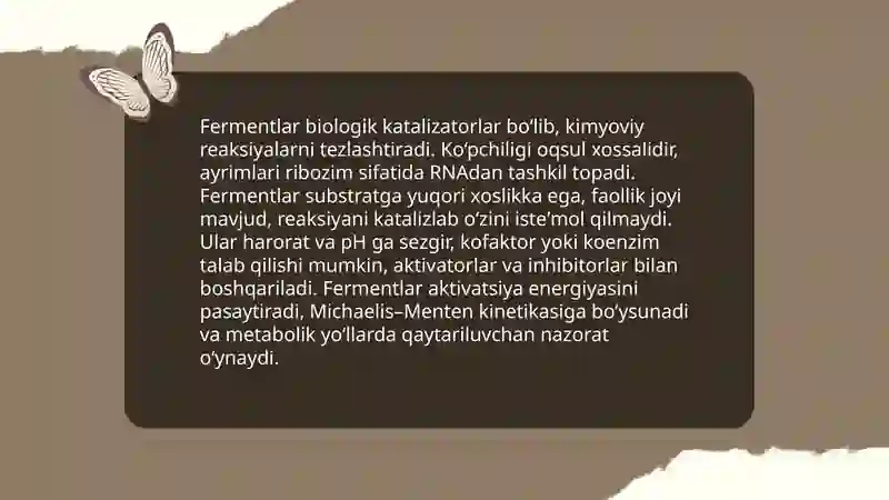 Ferment 3