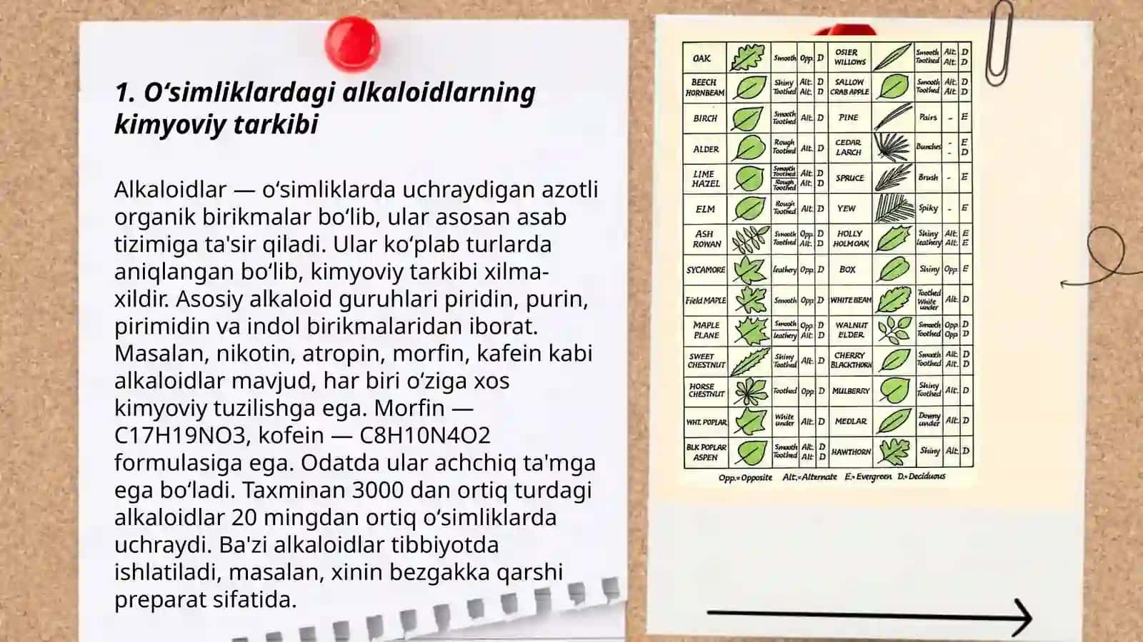Oʻsimliklardagi alkaloidlarni aniqlash 3