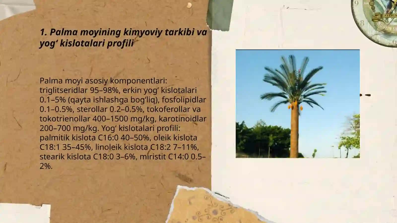 Palma moyi tavsifi va qo'llanilish sohalari 3