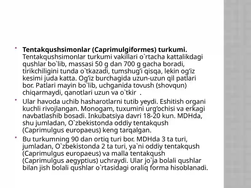Qushlarsinfining O`zbekistondagi tarqalgan turlari 3