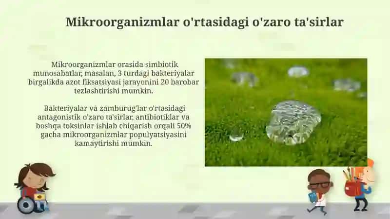 Mikroorganizmlar ekologiyasi. Suv, havo, tuproq mikroflorasi 3