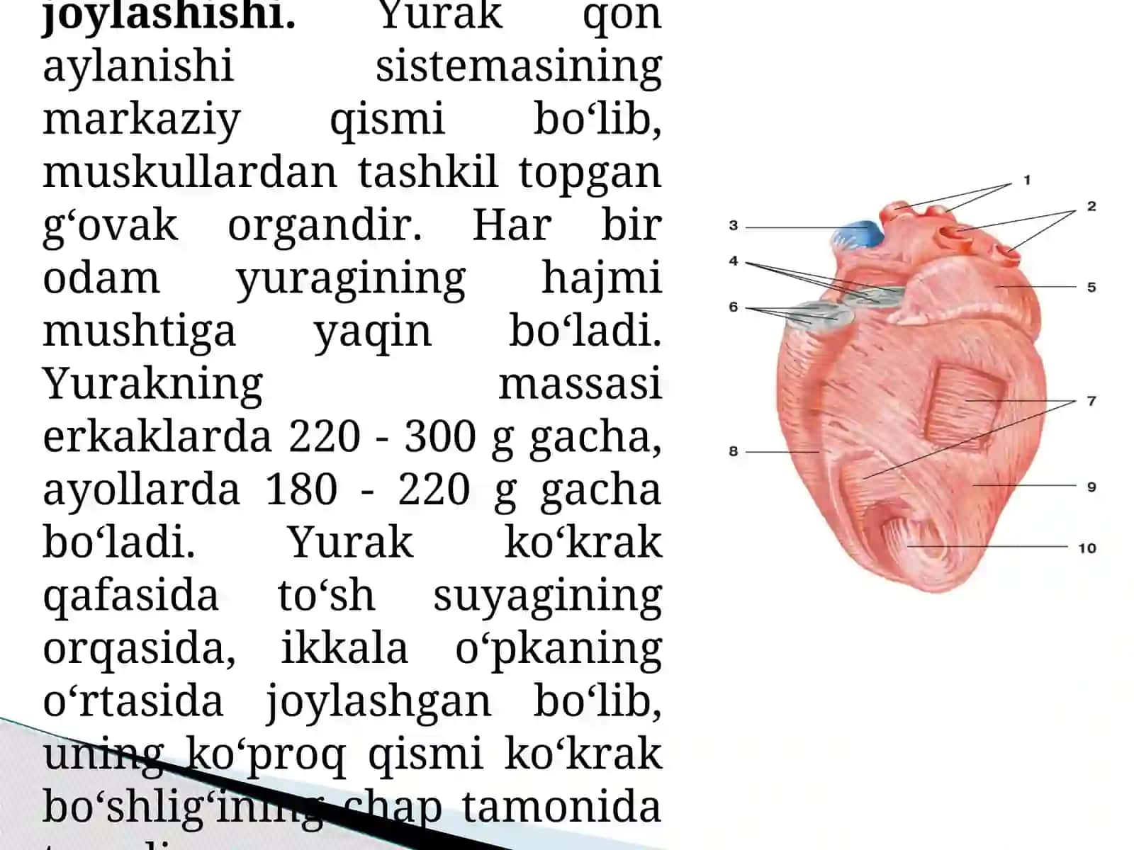 Qon va qonaylanish tizimining yosh xususiyatlari va gigiyenasi 3