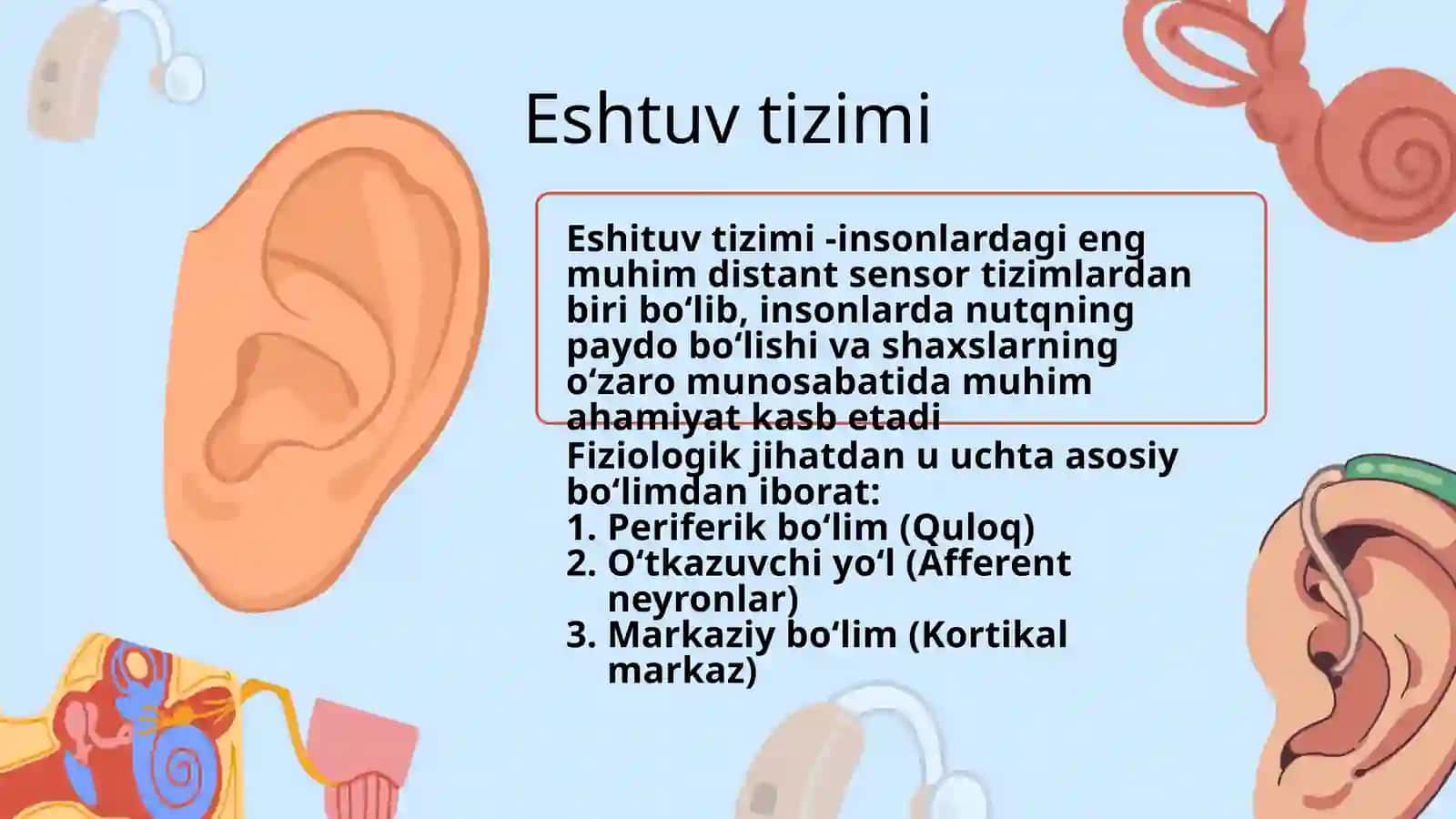 Eshtuv va vestibulyar analizatorlar fiziologiyasi 3