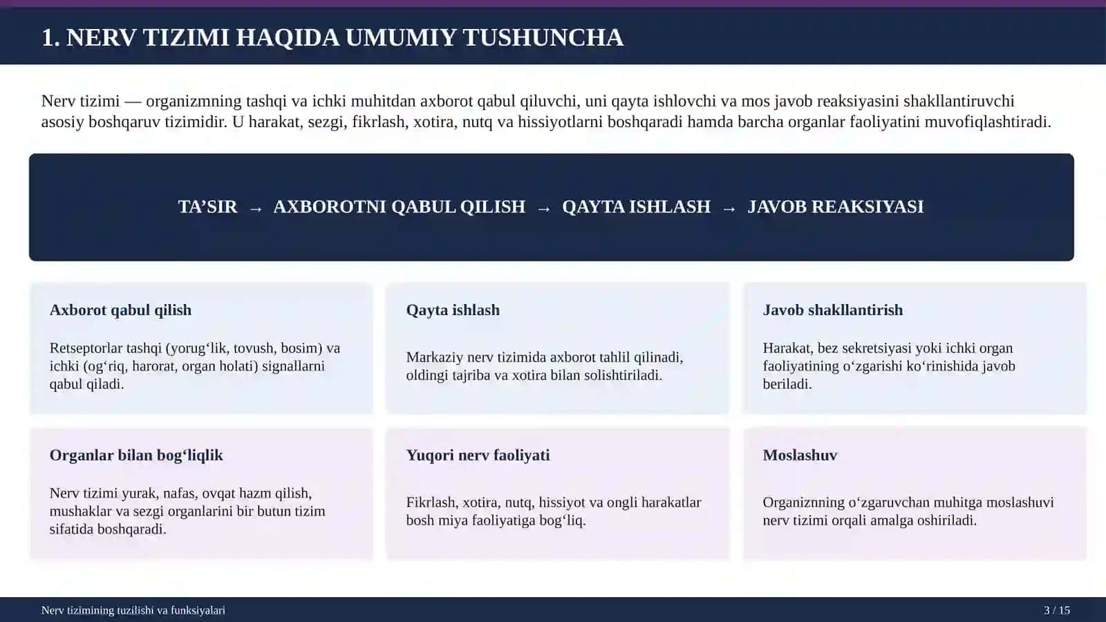Nerv Tizimining Tuzilishi 3