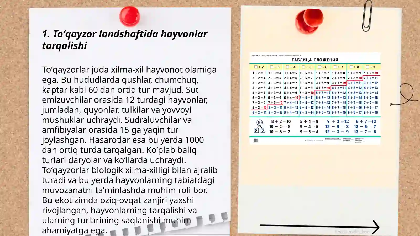 Toʻqayzor landshaftida hayvonlar tarqalishi 3