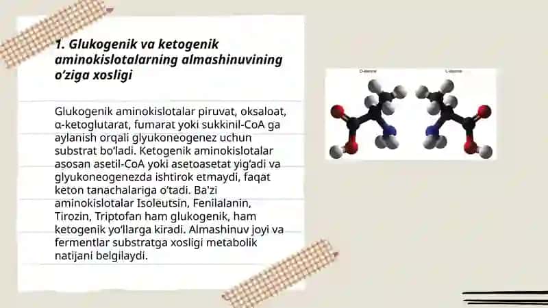 Ayrim aminokislotalar almashinuvining o’ziga xosligi 3