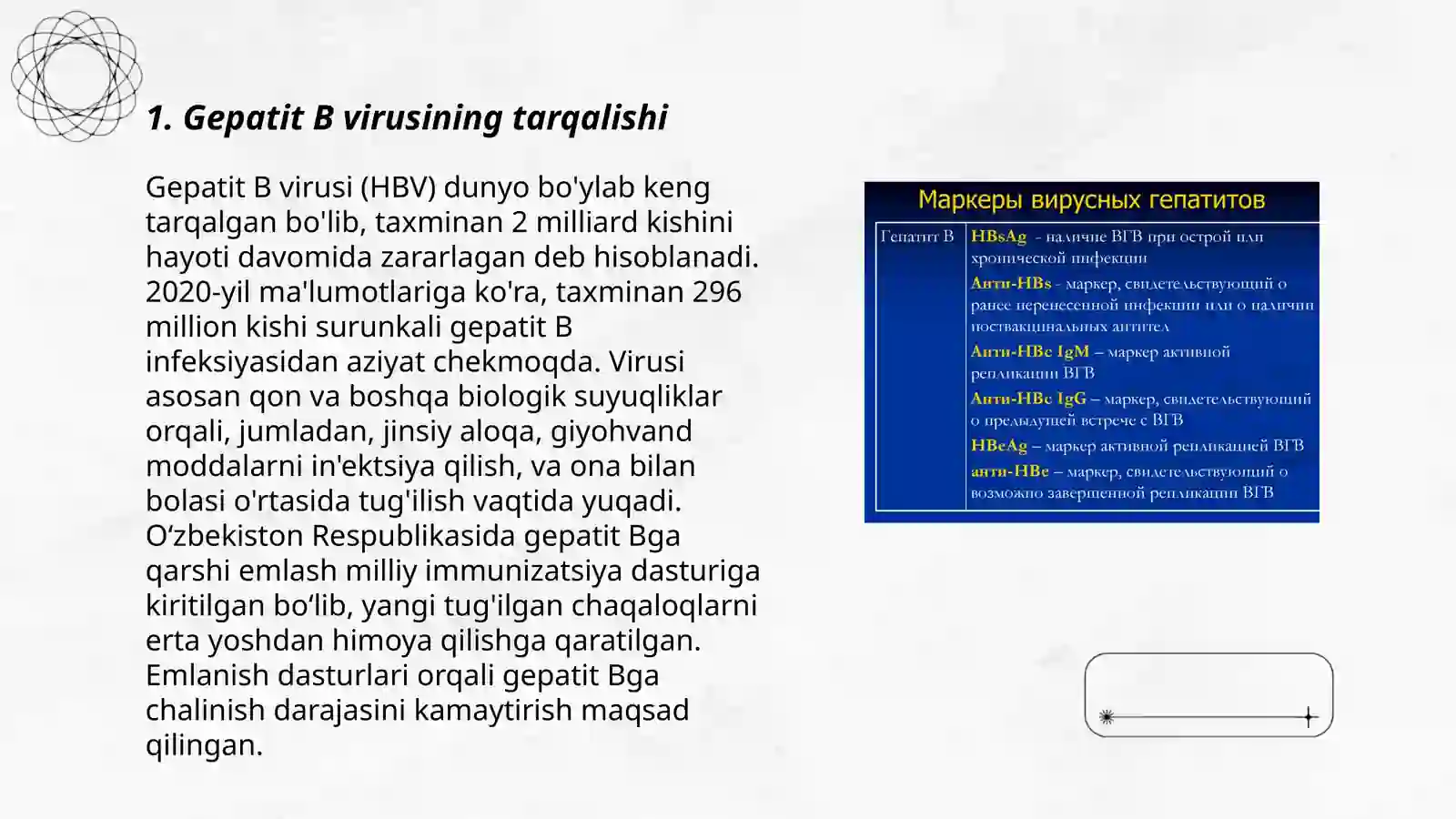 Gepatit B virusi 3