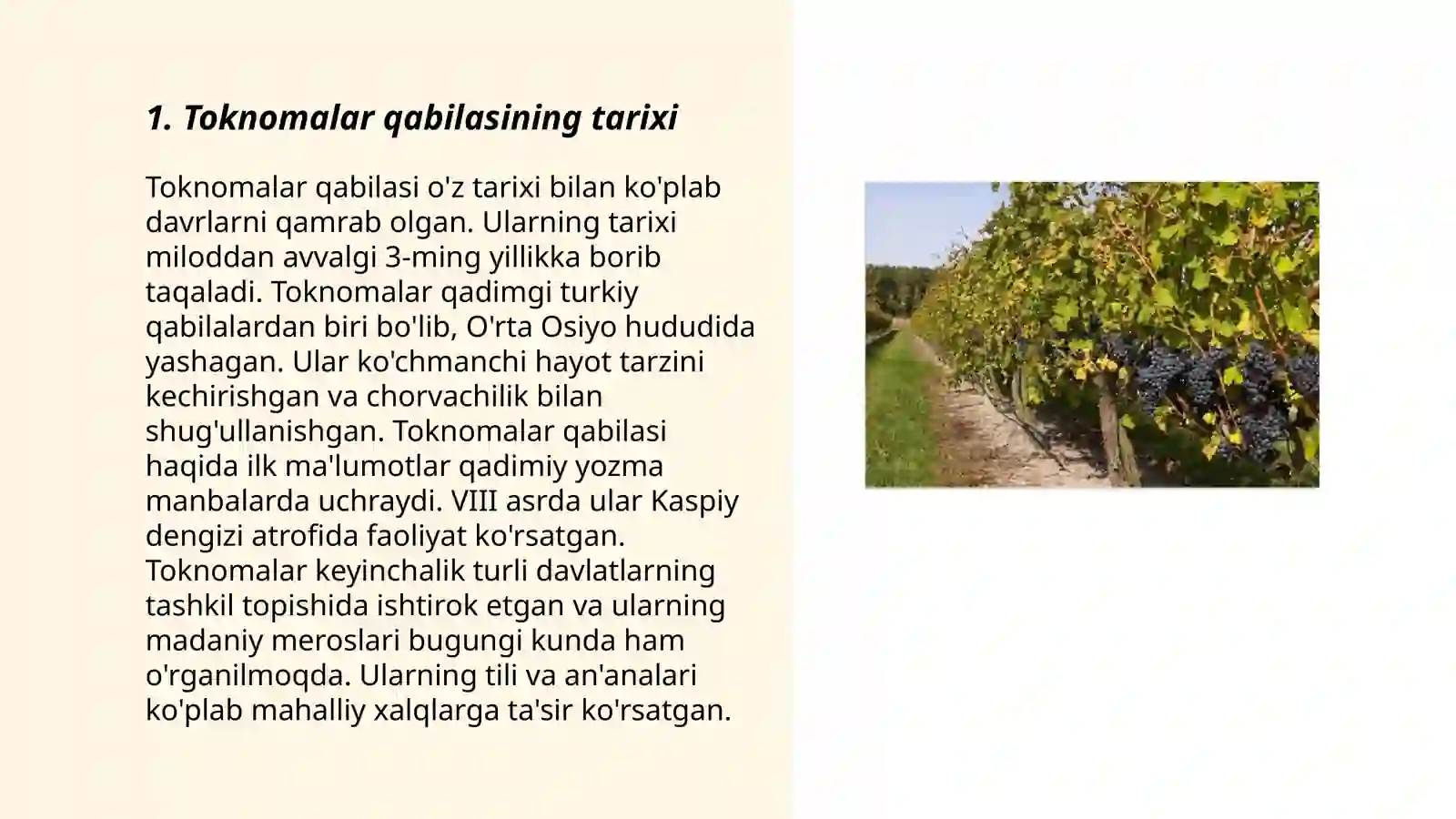 Toknomalar qabilasi 3