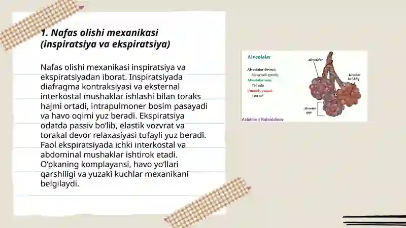 Nafas fiziologiyasi. Qonda gazlarni tashilishi 3
