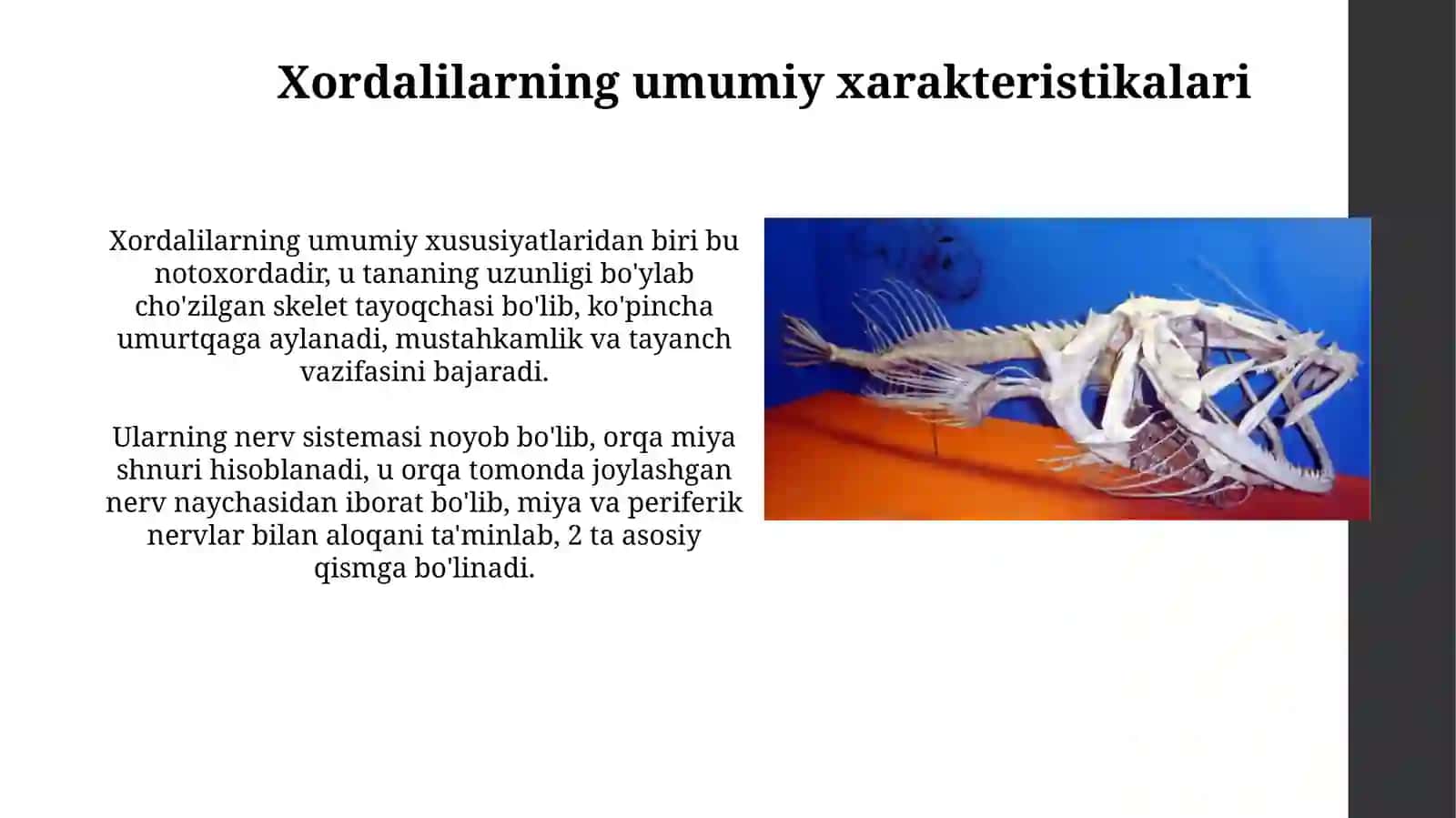 Xivchinlilar sinfning xarakterlixususiyatlari 3