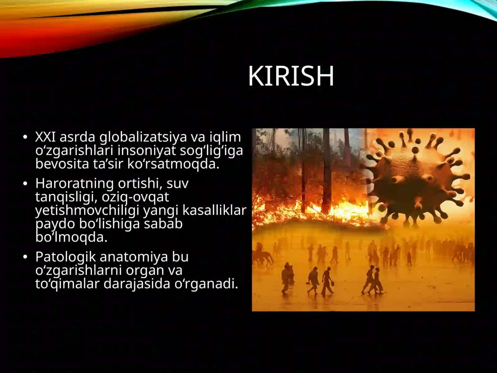 Kasallikning global tashvishi. Iqlim o'zgarishlarining tibbiy oqibatlari 3