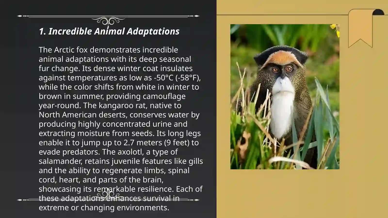 Incredible Animal Adaptations 3