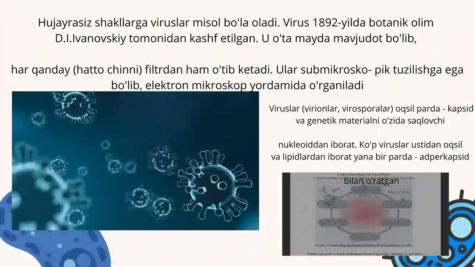 Hujayra tuzulishi. Hujayra nazariyasi. Xayvon va odam xromosomalarining morfofunksional xarakteristi 3