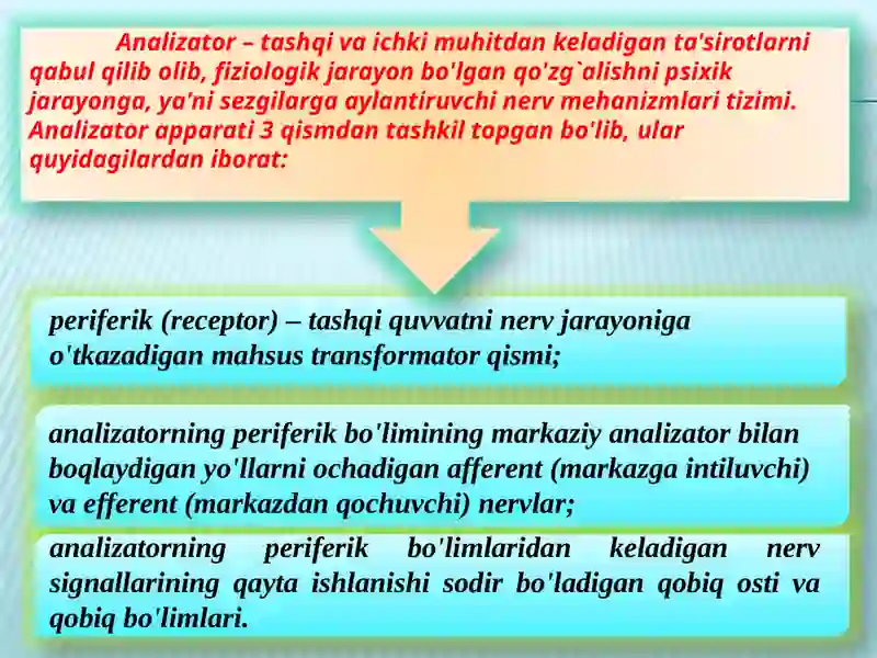 Sezgi 3