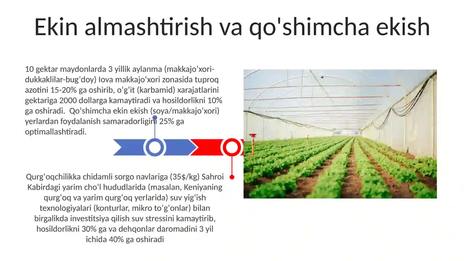 Qishloq xo’jaligidagi investitsiyadan foydalanish 3