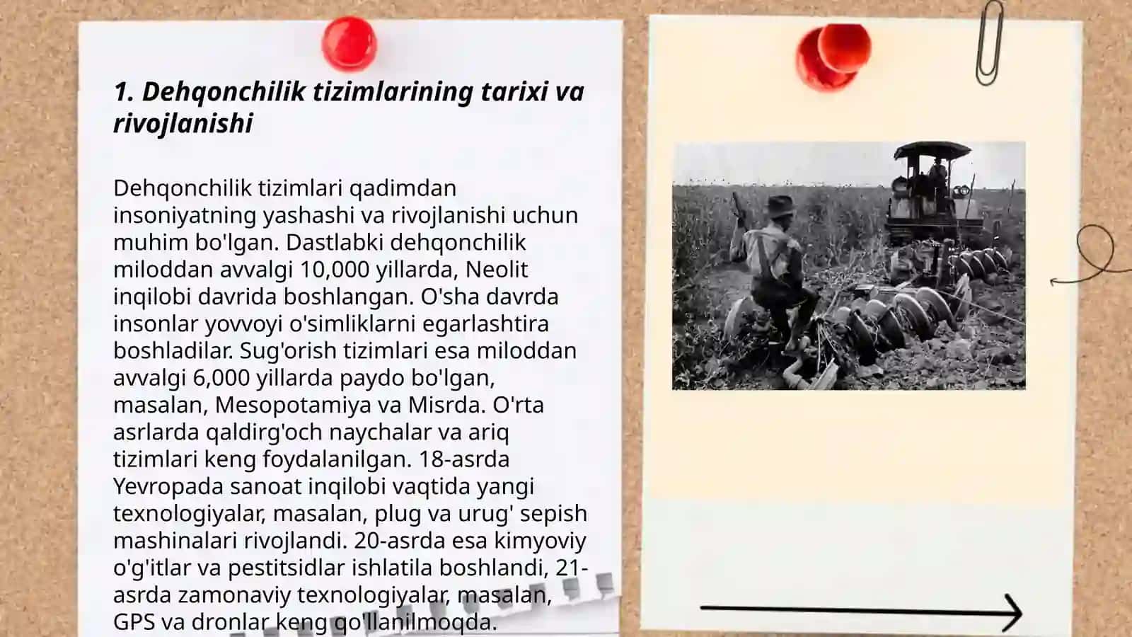 Dehqonchilik tizimlari va qonunlari 3