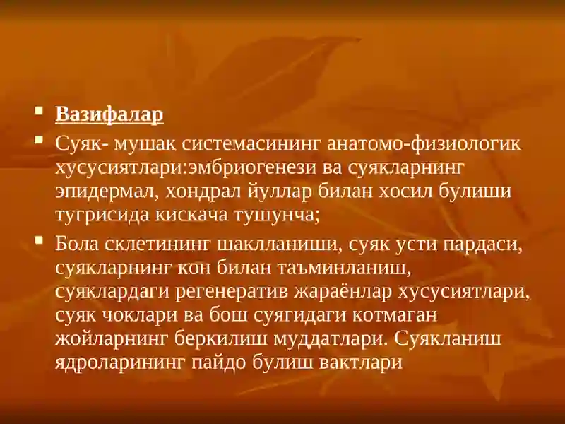 Суяк-мушак тизими 3
