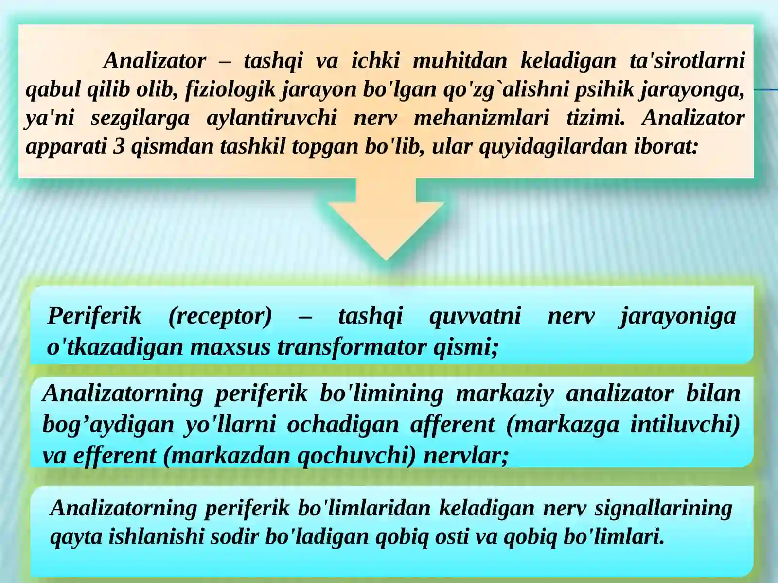SEZGI 3