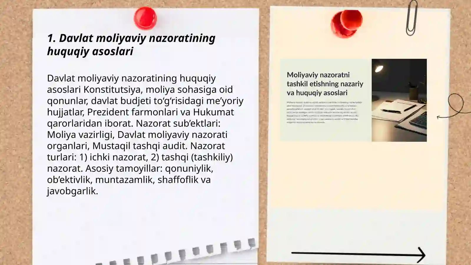 Davlat moliyaviy nazorati va audit tizimi 3