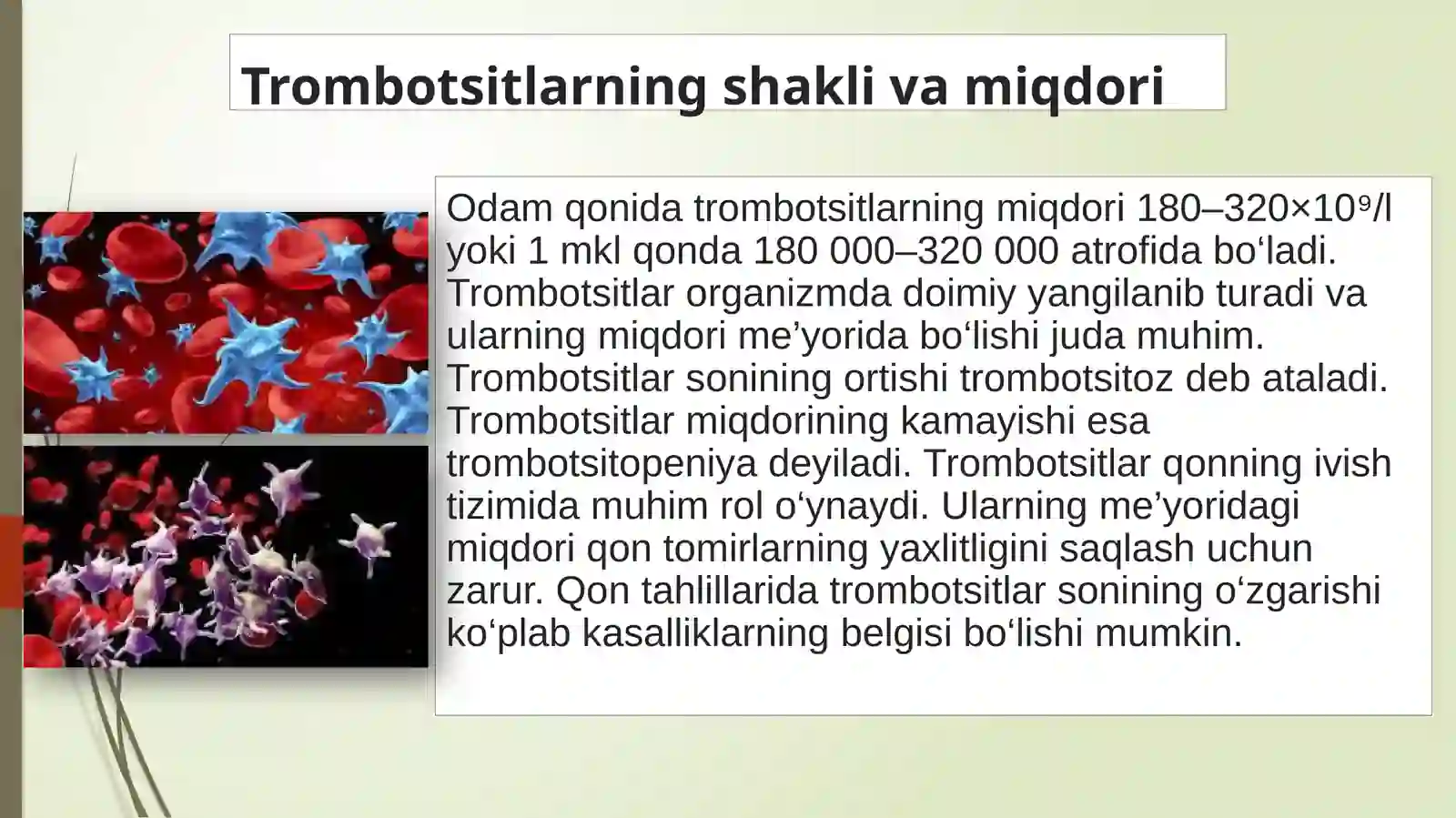Trombotsitlar 3