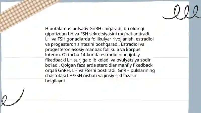 Jinsiy siklning gormonal boshqariluv mexanizmi 3