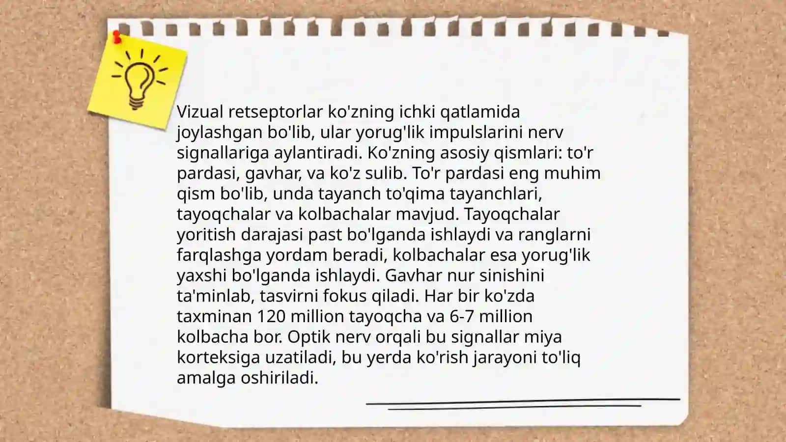 Visiral reseptorlar fiziologiyasi 3
