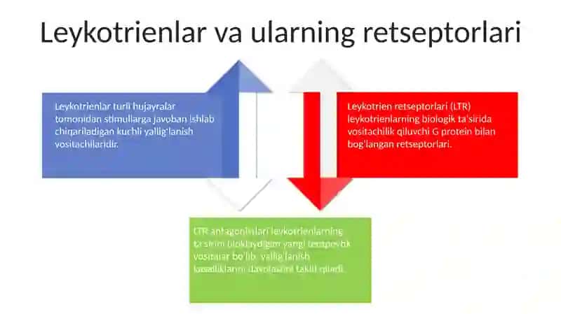 Leykotrien Receptorlarga Tasir Etuvchi Vositalar 3