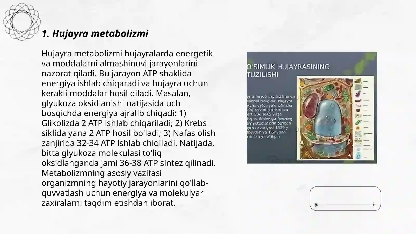 O'simliklar hujayrasining fizalogiyasini o'rganish uslublari 3