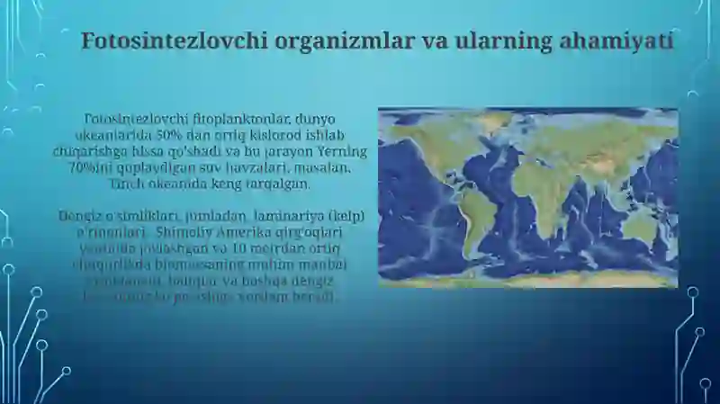Dunyo okeani biomlari 3