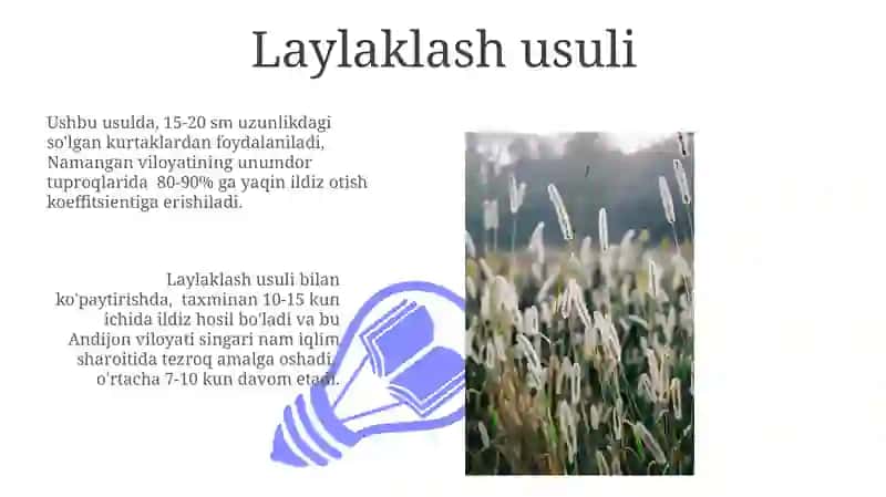 Oʻsimliklarning vegetativ koʻpayishi 3