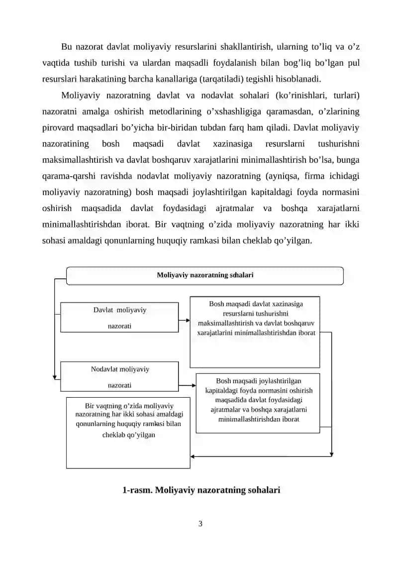 Moliyaviy nazoratni tashkil qilishning turlari, shakl va usullari 3