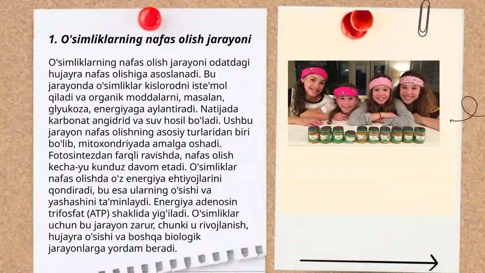 Yem-xashak ekinlari fiziologiyasi 3